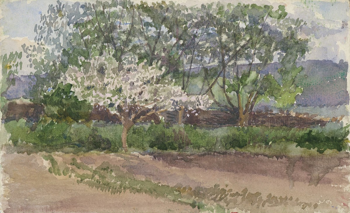 Blooming Tree 19001919