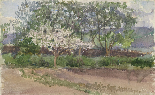 Blooming Tree 19001919