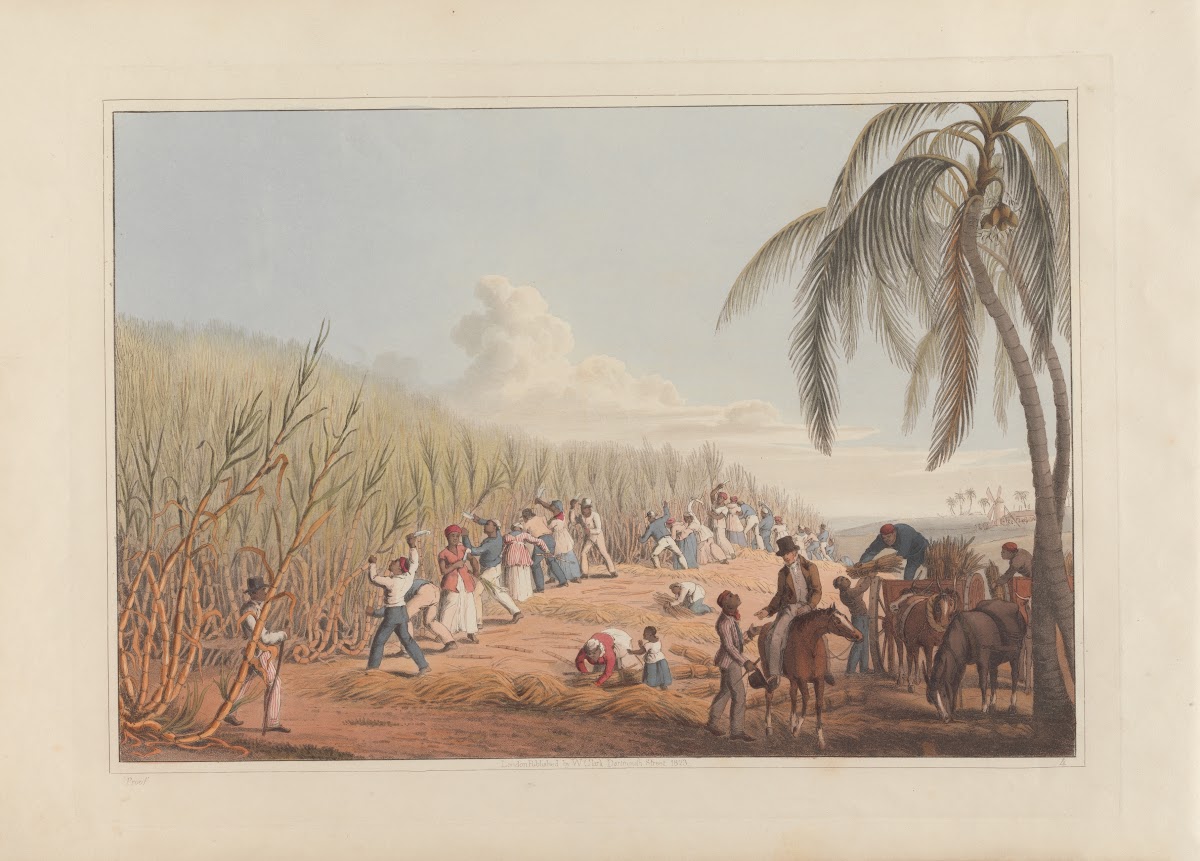 Cutting the Sugar Cane 1823