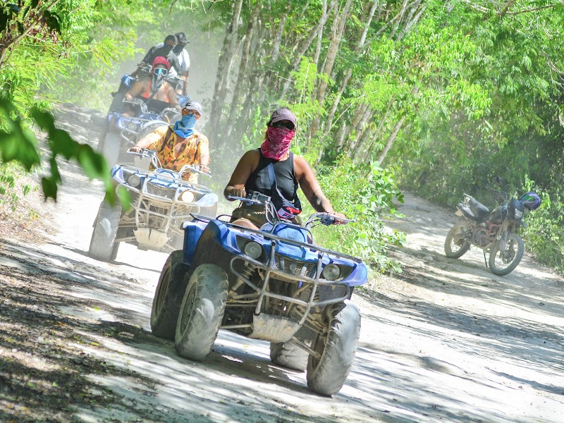 Tortugas + ATV + Cenote + Tirolesa — Akumal (2/19)