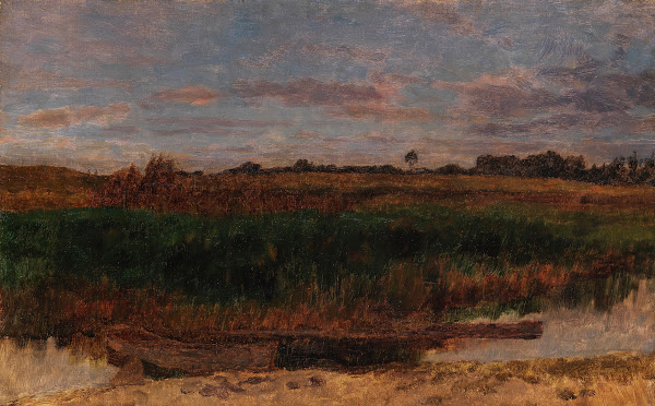 Schilffeld mit Kahn Ferch am Schwielowsee 1881