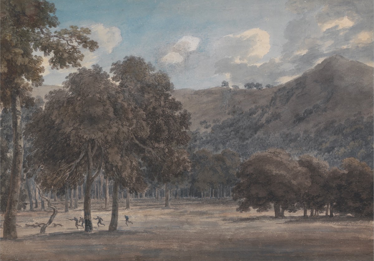 Il Parco degli Astroni The Wooded Crater Bottom with Hunt in Progress
