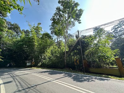 Tanah Kebun Janda Baik, Bentong — foto 2/6