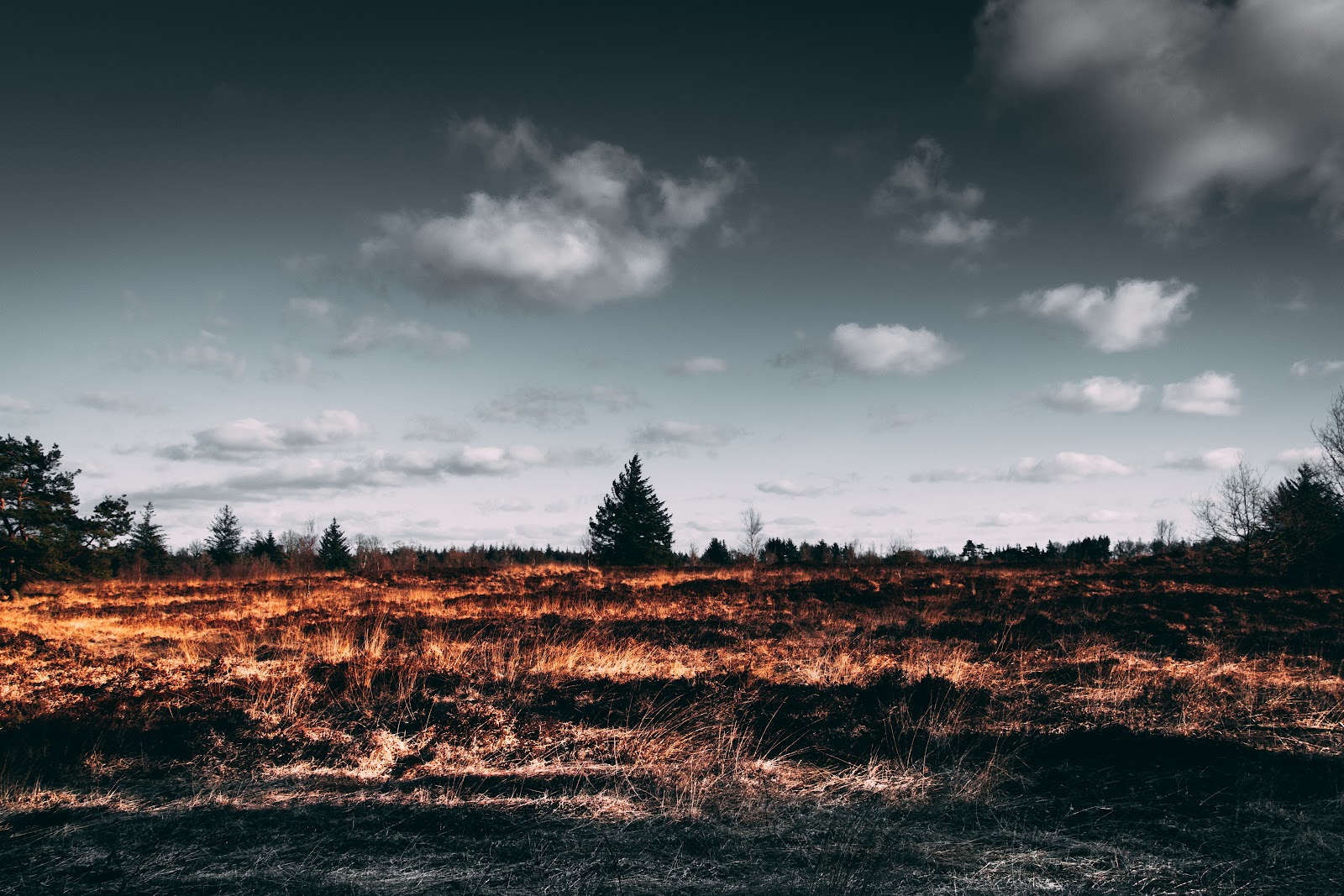 Deforestation Photo. Climate change emotional impact, ecological catastrophes emotional impact, ecological grief Indonesia, climate grief Indonesia, reef grief Indonesia. CarbonEthics Indonesia