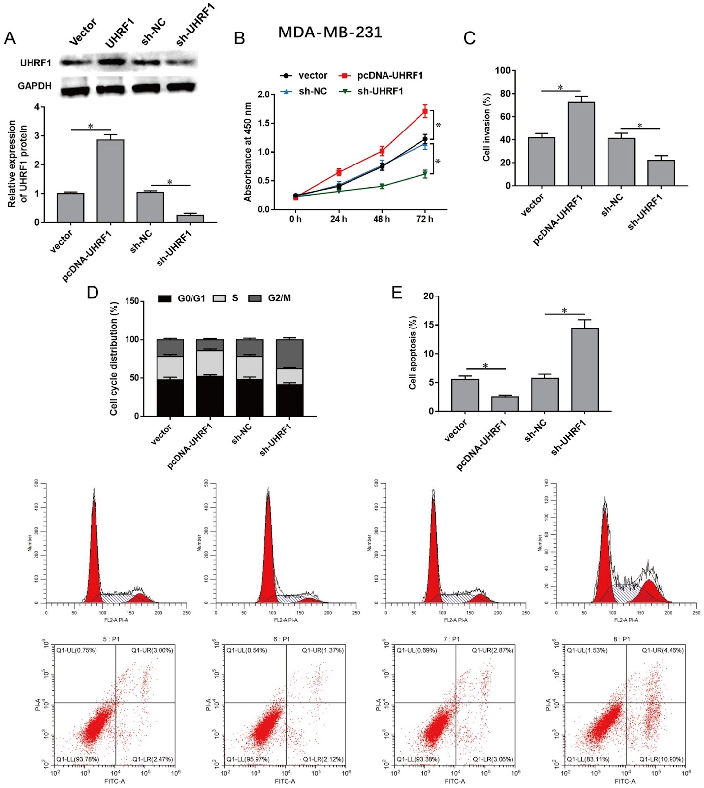 UHRF1 knockdown induces cell cycle arrest and apoptosis in breast cancer cells through the ZBTB16/ANXA7/Cyclin B1 axis