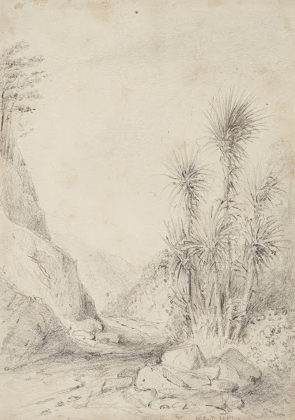 Termination of the second gorgelooking back Upper Hutt 1849