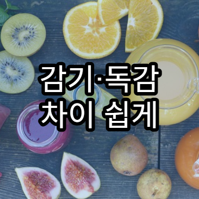 감기·독감 차이 쉽게 설명