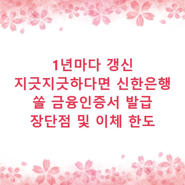 1년마다 갱신 지긋지긋하다면 신한은행 쏠 금융인증서 발급 장단점 및 이체 한도