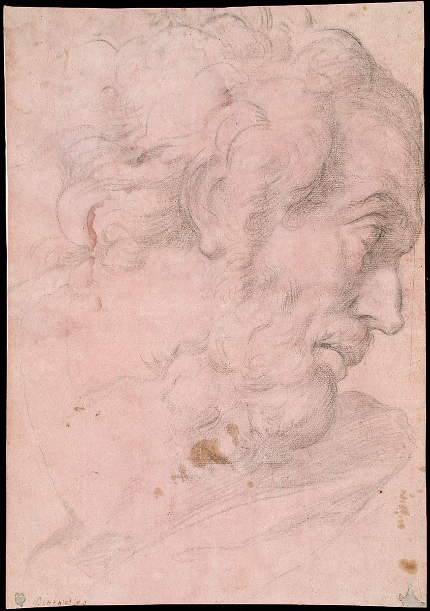 Head of A Bearded Man 1596 1641