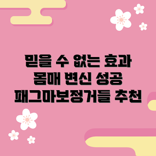 패그마보정거들, 몸매 변신, 보정 속옷, 여성용 보정거들, 체형 교정