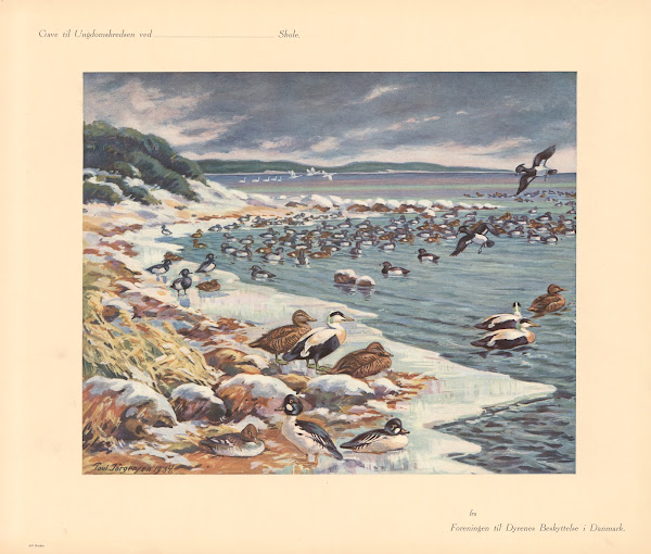January 1935