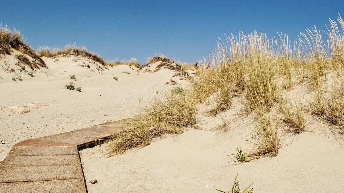 미래 직업별 자격증 취득 순서와 커리어 로드맵 설계법