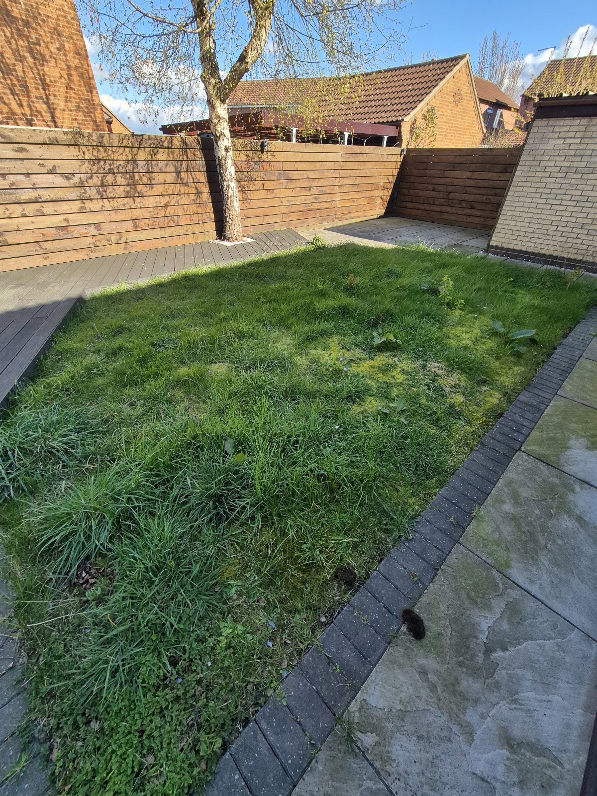 Garden transformation completed by LWR Group in Lincolnshire, overgrown plot reset and replanted