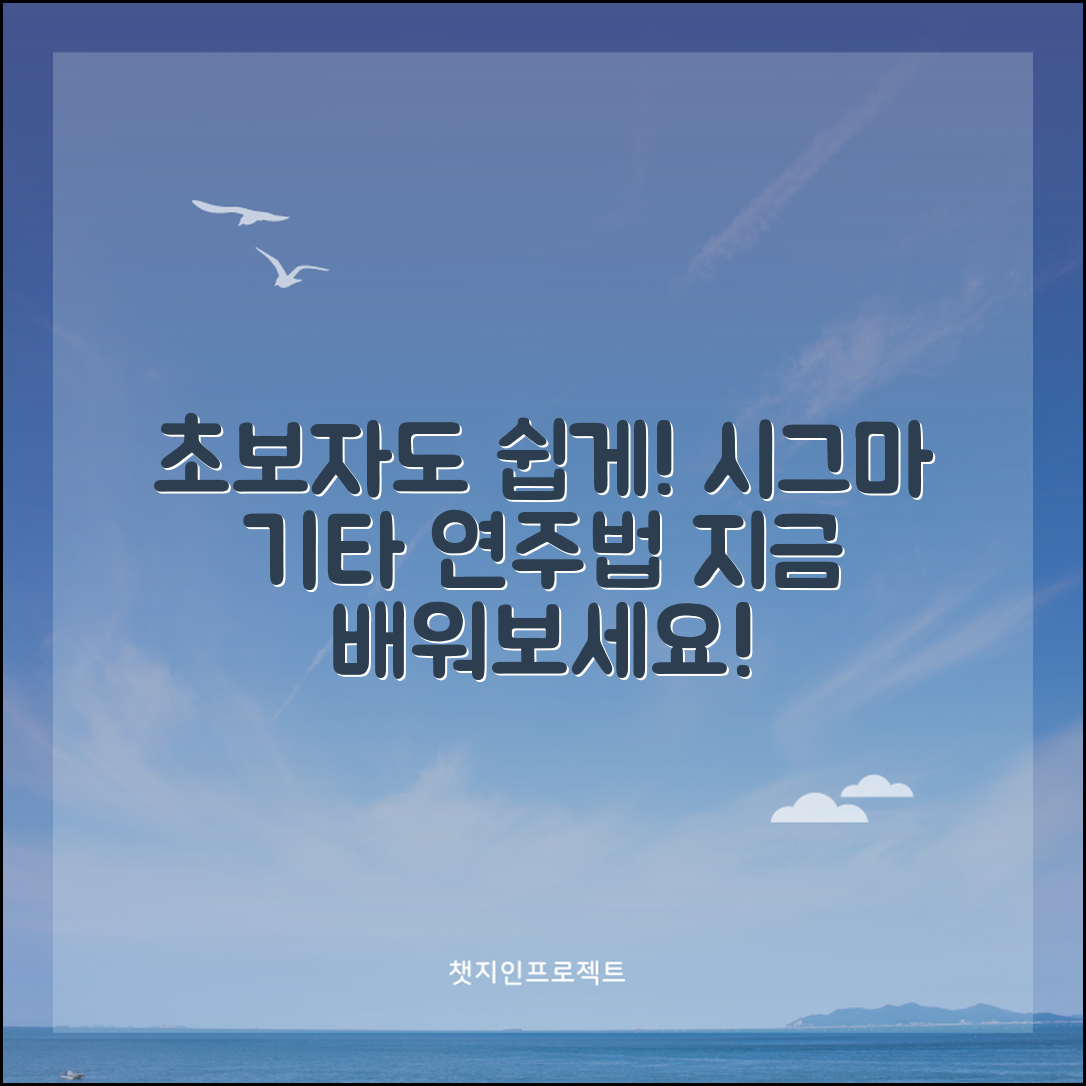 초보자도 쉽게 배우는 시그마기타 연주법