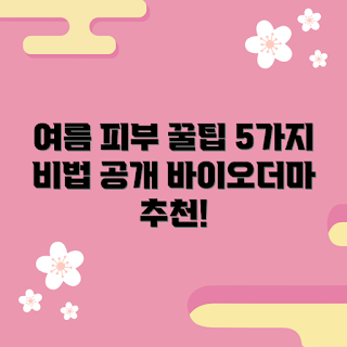 바이오더마 여름 피부 관리, 어떻게 바이오더마 사용하나, 바이오더마 추천 제품, 바이오더마 효과, 여름 피부 고민 해결