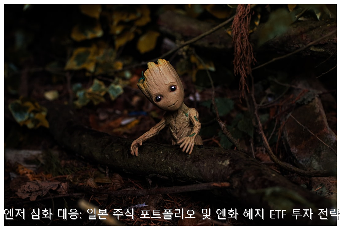 2026년 엔저 심화 대응: 일본 주식 포트폴리오 및 엔화 헤지 ETF 투자 전략 가이드 핵심 안내 및 분석 인포그래픽 (5)