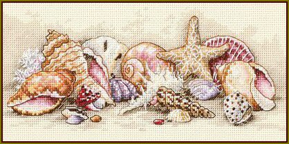 DIM65035 Seashell Treasures