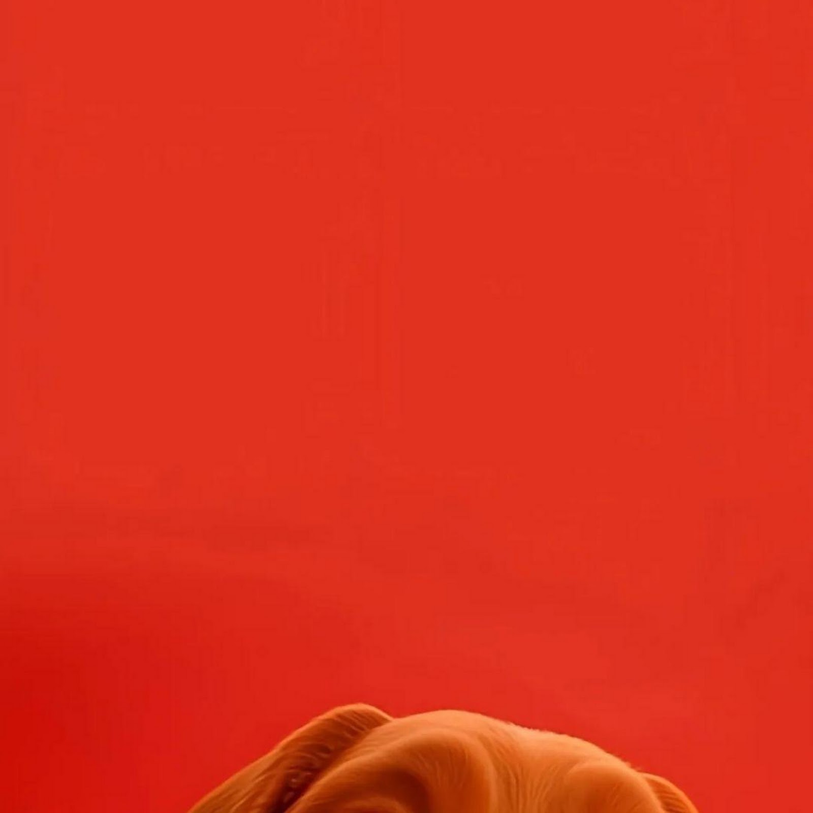 Download Stylized Animated Brown Dog Full HD iPhone