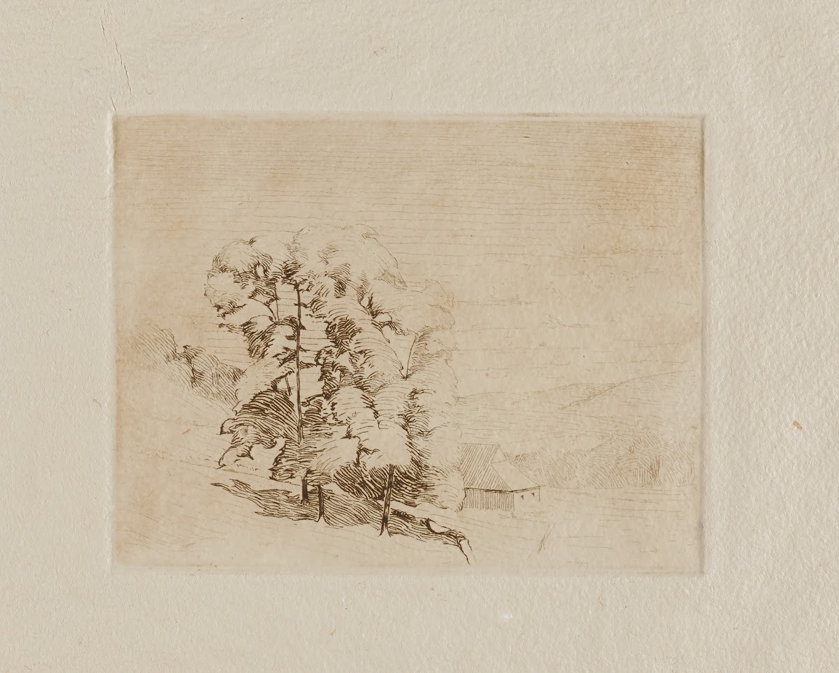 Connecticut Hillside