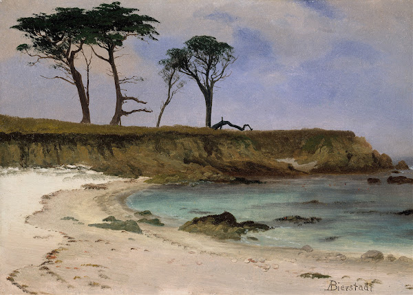 Sea Cove ca 188090