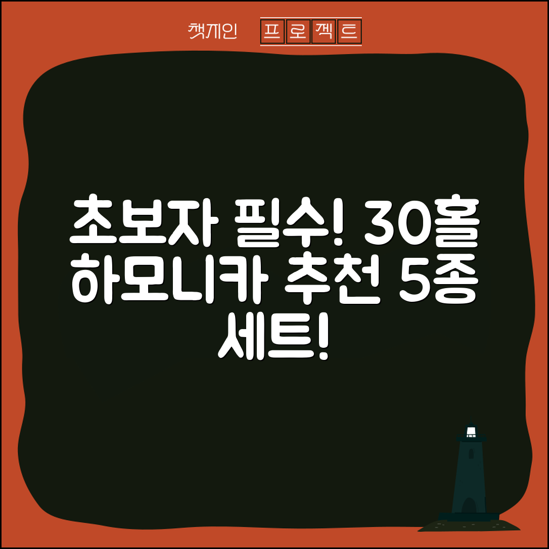 초보자를 위한 30홀하모니카 추천 5가지