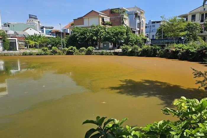 Mặt nước hồ Trái Tim ở Huế xuất hiện váng, đổi màu bất thường - Báo Sức Khỏe &amp; Đời Sống