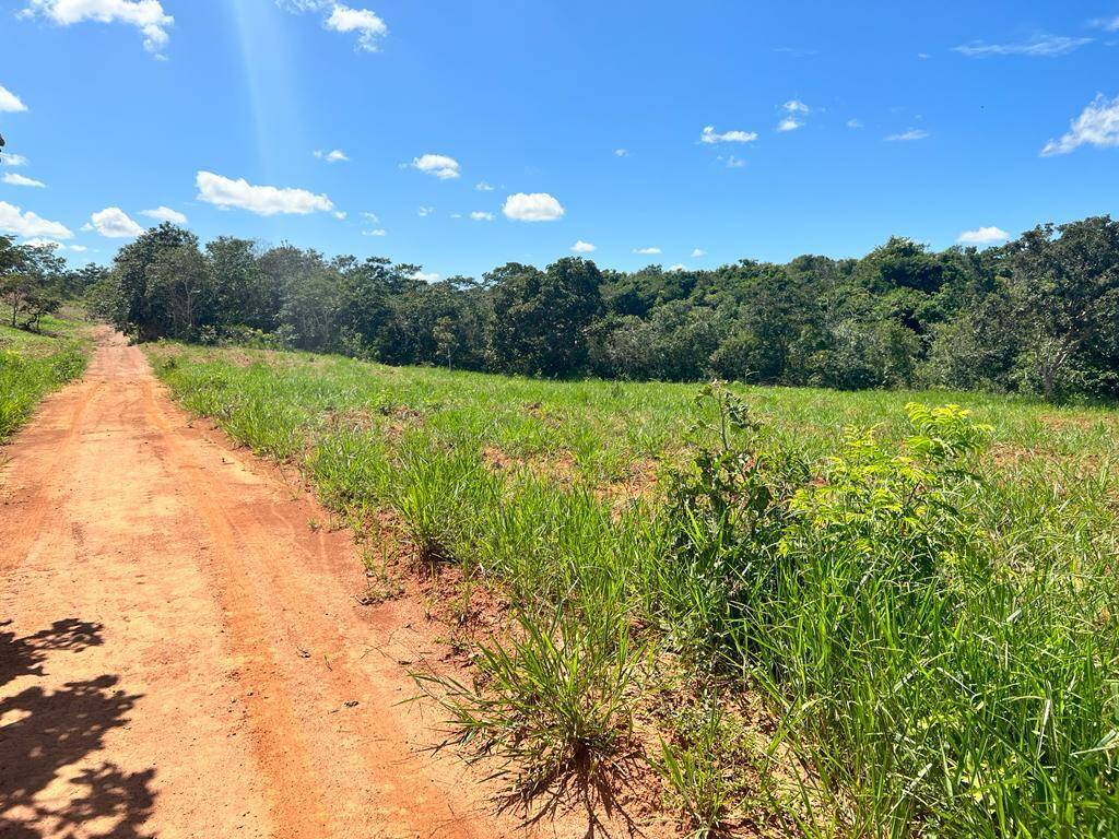 Fazenda no municipio de Santa Cruz de Goiás. 6