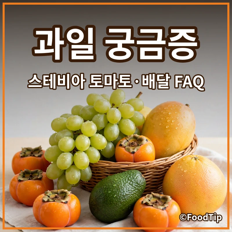 4060 과일 애호가 궁금증 해결! 스테비아 토마토부터 과일 바구니 배달까지 FAQ 총정리