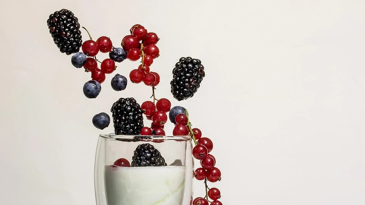 유산균과 프로바이오틱스 차이, 장 건강에 좋은 선택법