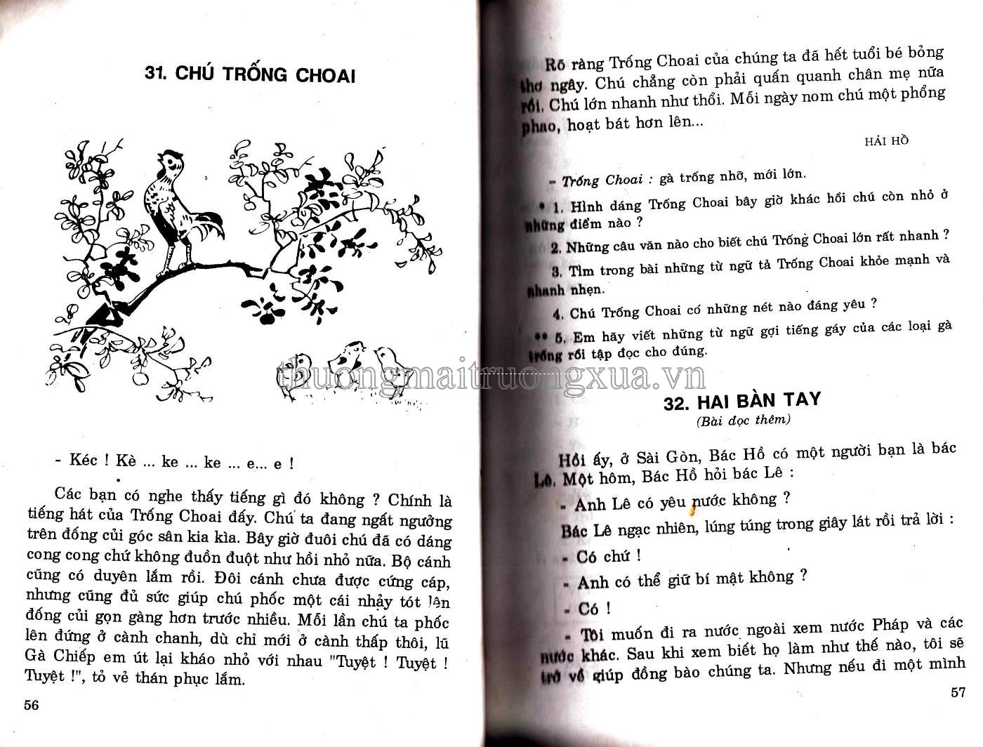 Tiếng Việt 3 (tập 1 1997) - Trang 29