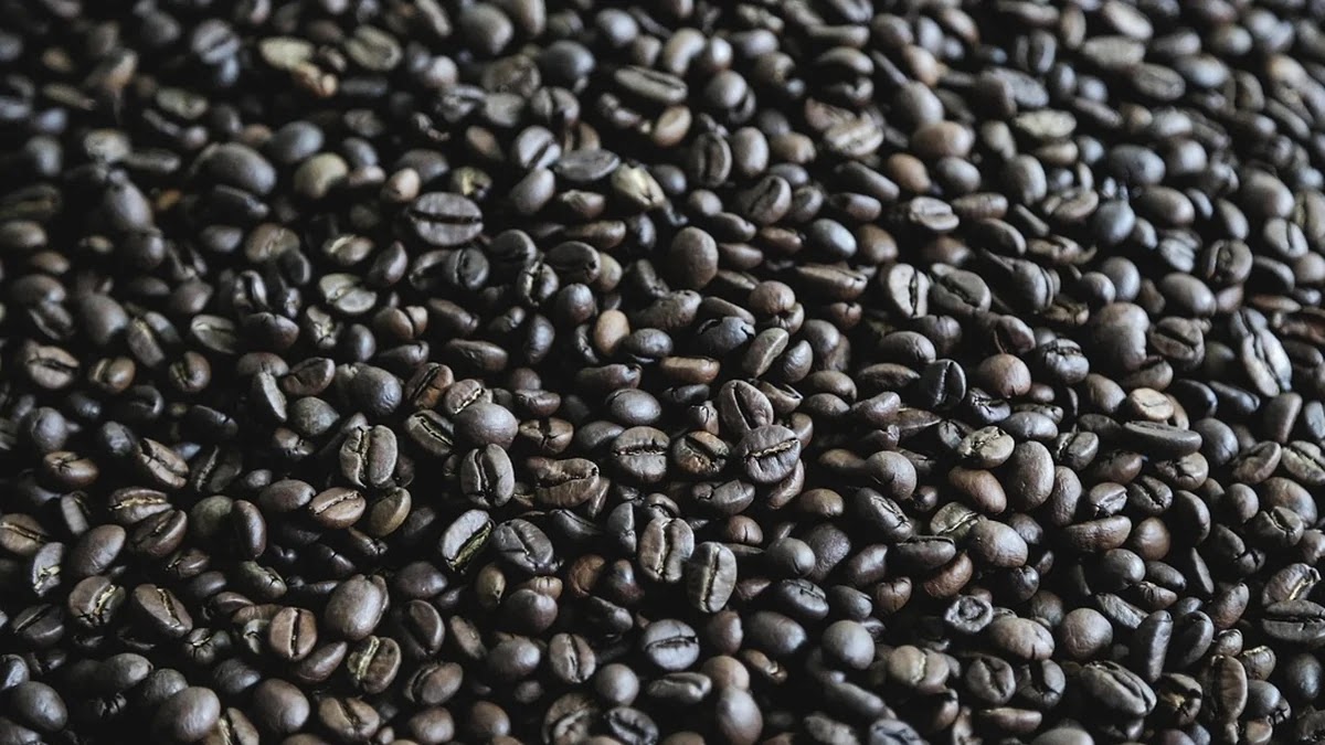 공복에 커피 마시면 안 되는 이유와 건강 영향 분석