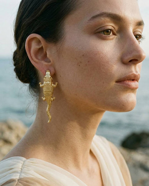 Earrings piece image