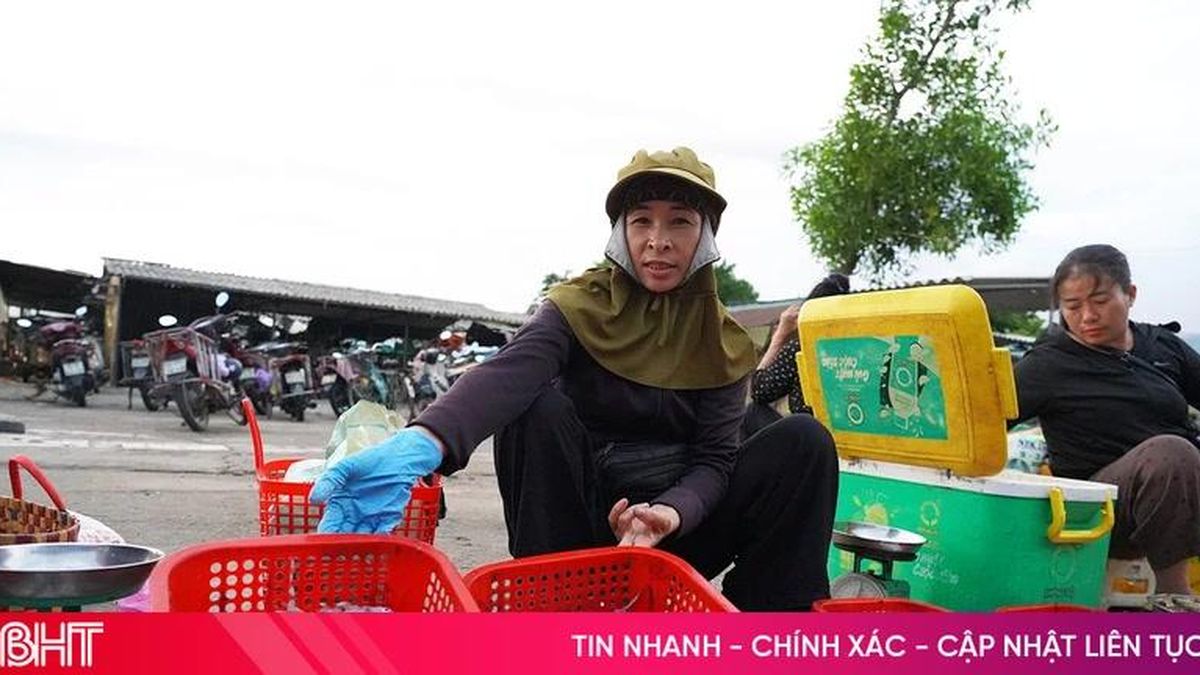Đi chợ Đạo 'săn' mực nháy bãi ngang - Báo Hà Tĩnh