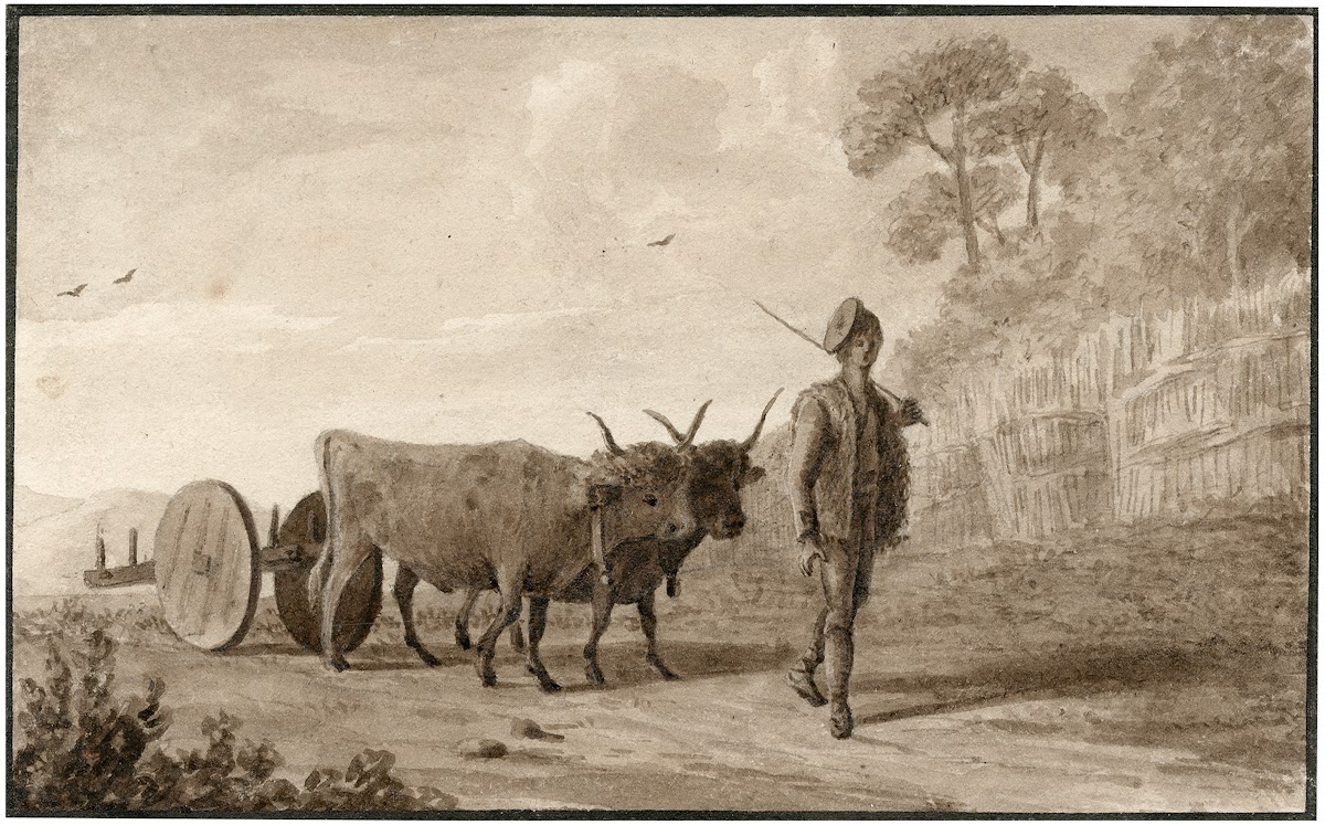 Een ossenwagen