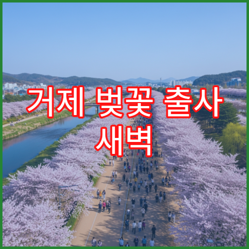 거제 벚꽃 출사 새벽 6시 거제여상 터널 사진작가 추천 바다 배경