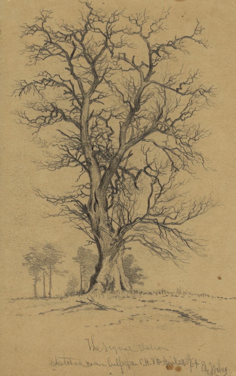 The signal station sketched near Culpeper CH Va 1864