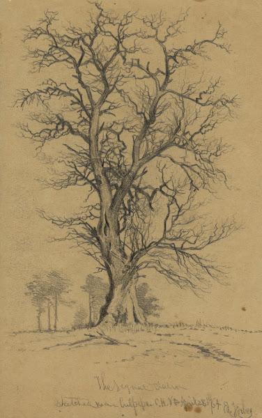 The signal station sketched near Culpeper CH Va 1864