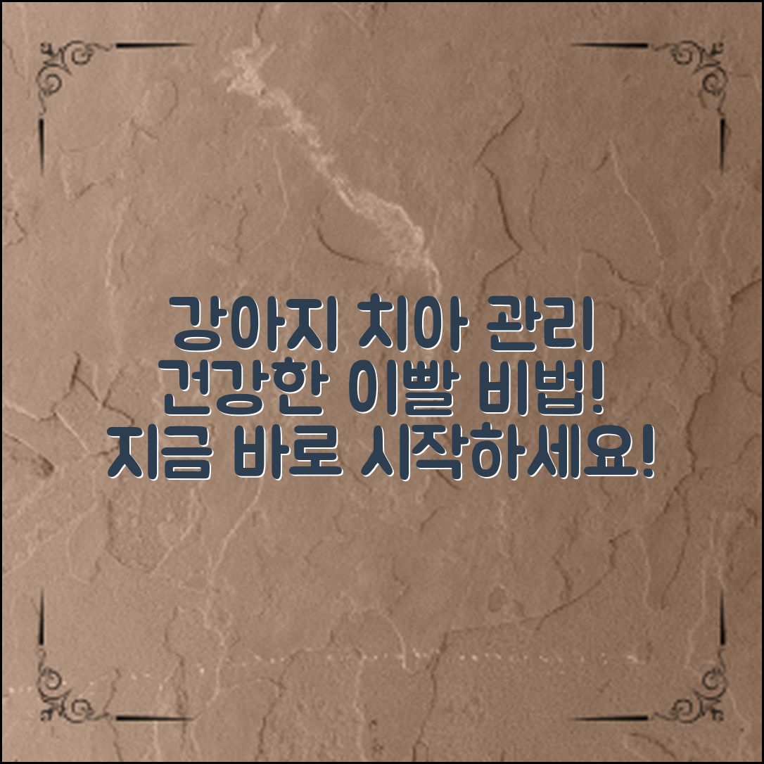 **강아지 치아 관리, 어떻게 해야 건강한 이빨을 지킬 수 있을까?**
