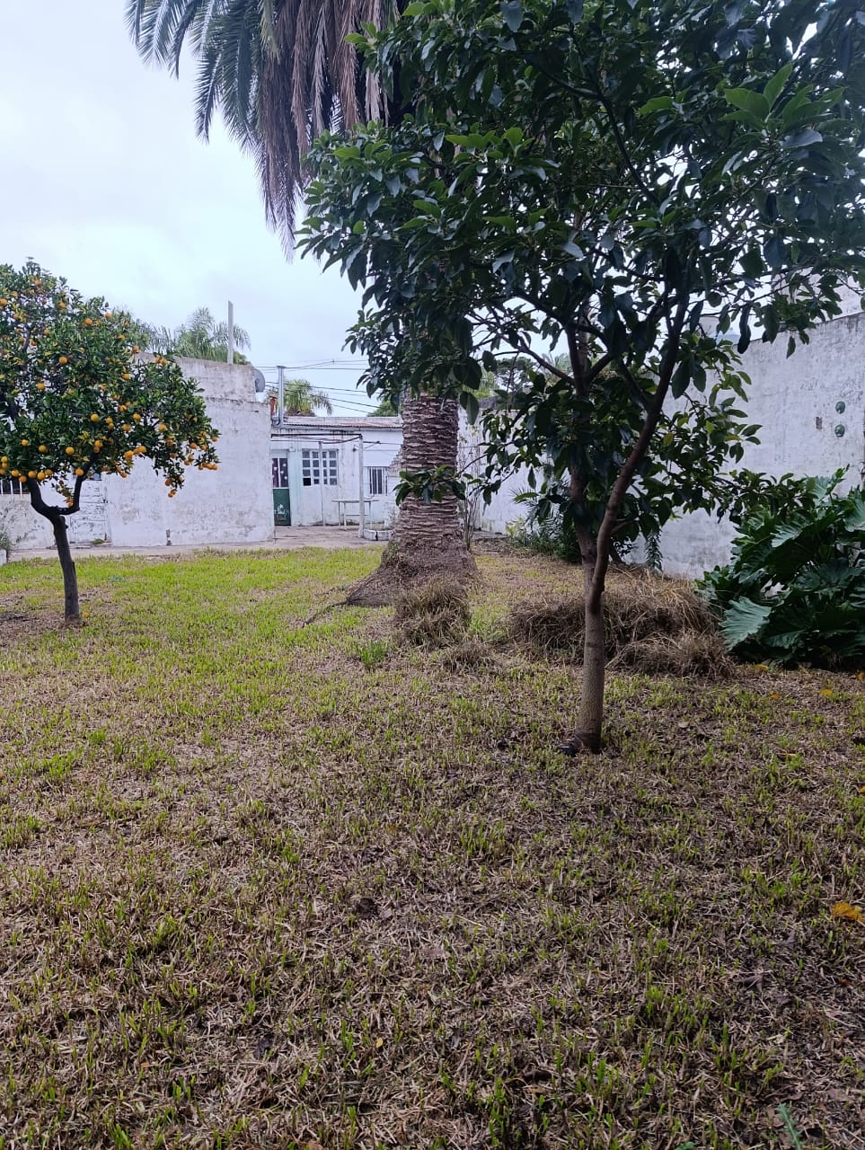 Foto 7