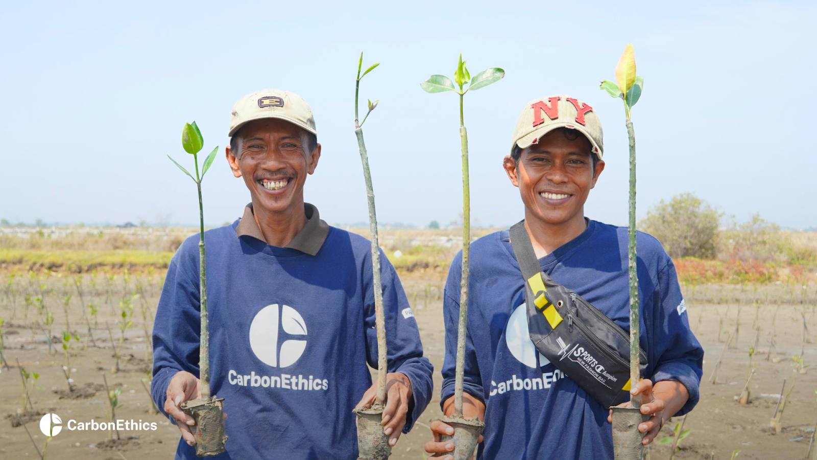 CarbonEthics’ Mangrove Farmers
