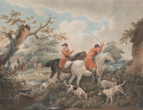 Fox Hunting The Check 1800 1801