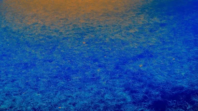 Abstract, Texture, Blue, Orange 5K Wallpaper