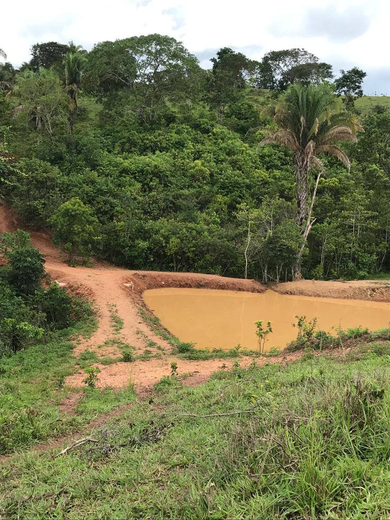 Sítio em Corumbá de Goiás-GO 4