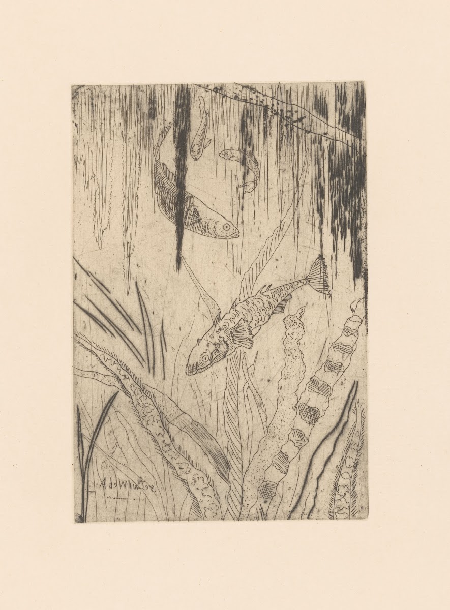 Vissen 1892   1951