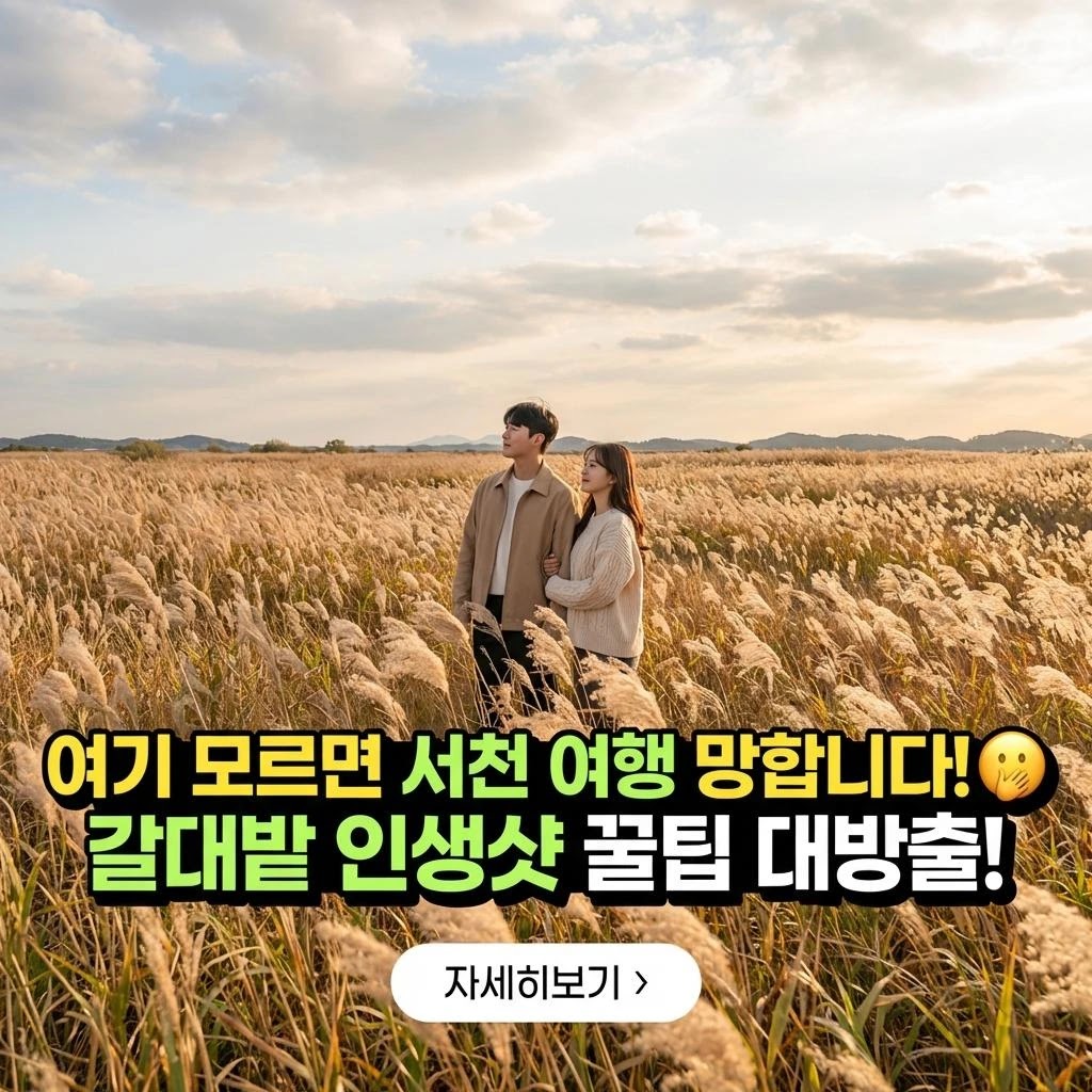 서천 신성리 갈대밭, 100% 만족하는 완벽 여행 가이드 7단계!