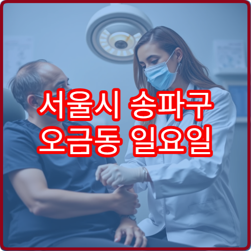 서울시 송파구 오금동 일요일 치과 진료 병원 치통 응급