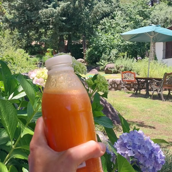 DEPURA: Purificación, nutrición y conexión Interior