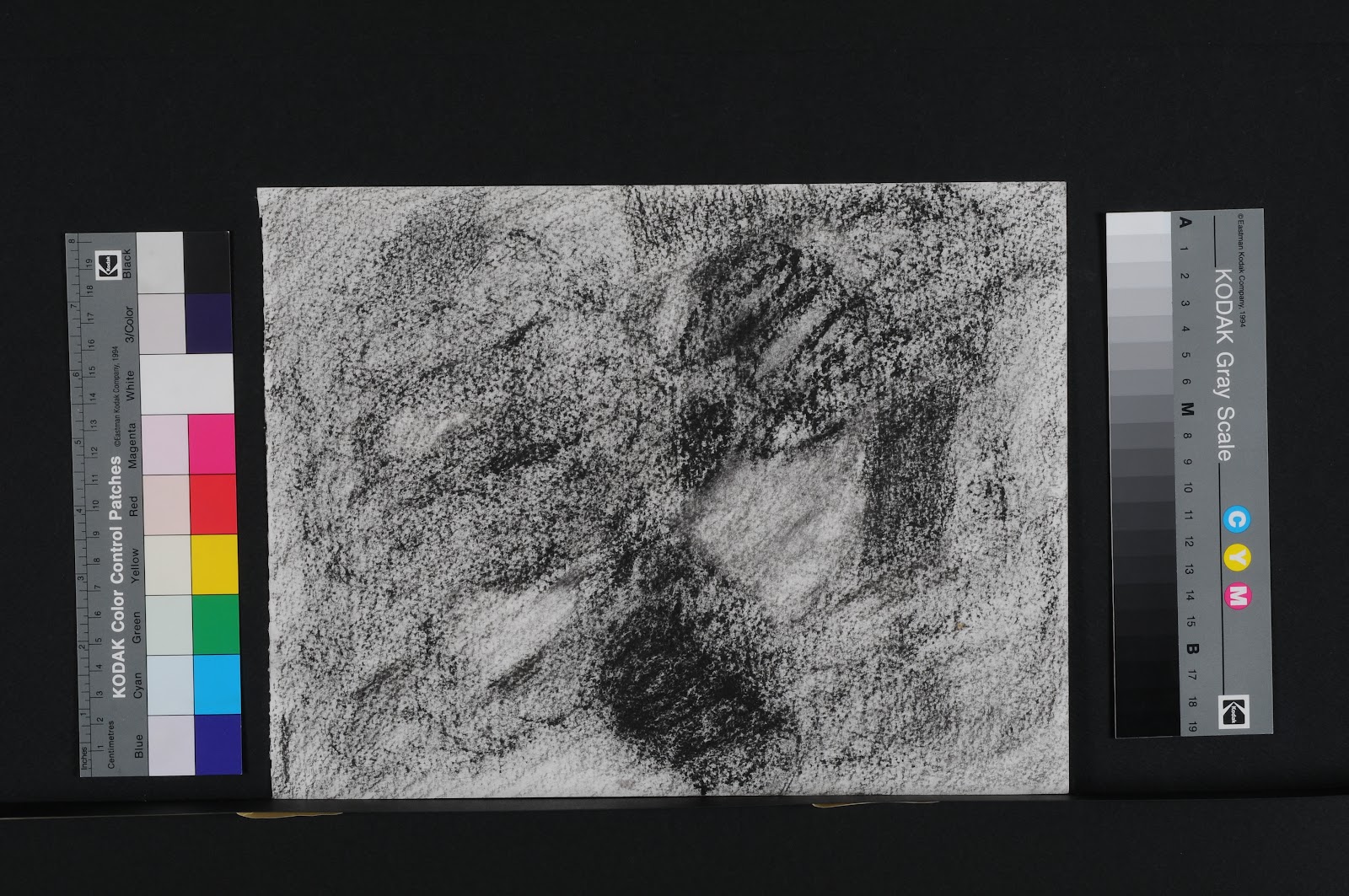 charcoal drawings