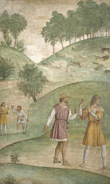 The Misfortunes of Cephalus c 1520 1522
