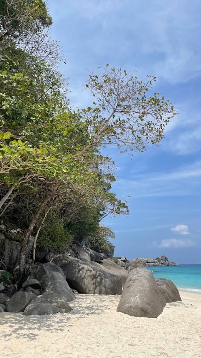 Приватный · SIMILANS EARLY BIRD_ FIRST TO THE PARADISE ISLANDS photo 2